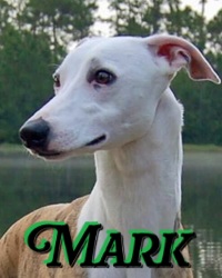 Mark